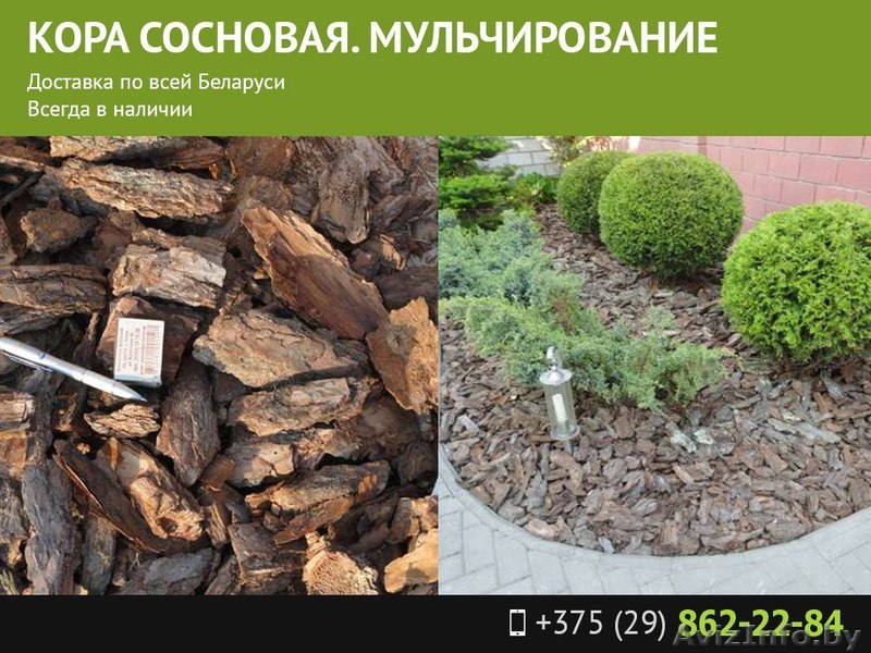 Кора сосновая - Изображение #1, Объявление #1558516
