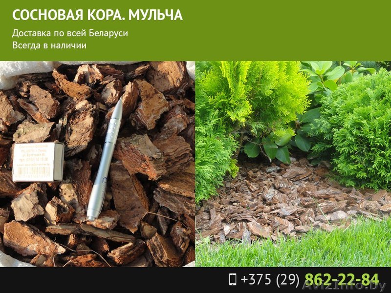 Мульча из коры сосны - Изображение #1, Объявление #1558581