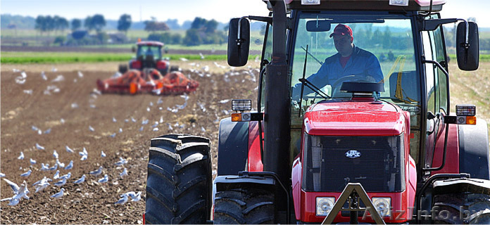 Спецтехника МТЗ: запчасти и комплектующие - Изображение #1, Объявление #1569635