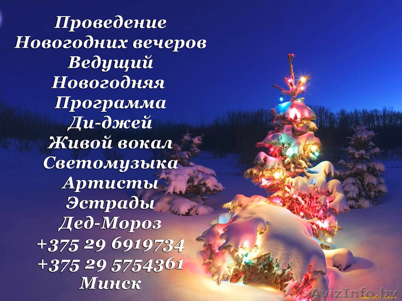 Ведущий новогодних вечеров - Изображение #1, Объявление #1585731