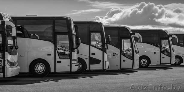Продаётся действующий, доходный бизнес в сфере пассажирских перевозок. - Изображение #1, Объявление #1581026