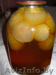 Продажа гриба Веселка - Изображение #1, Объявление #1581482