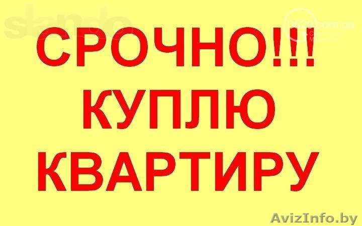 Срочно Куплю 3х комн. квартиру в Минске с кухней 9м до 120тыс.рублей - Изображение #1, Объявление #1590039