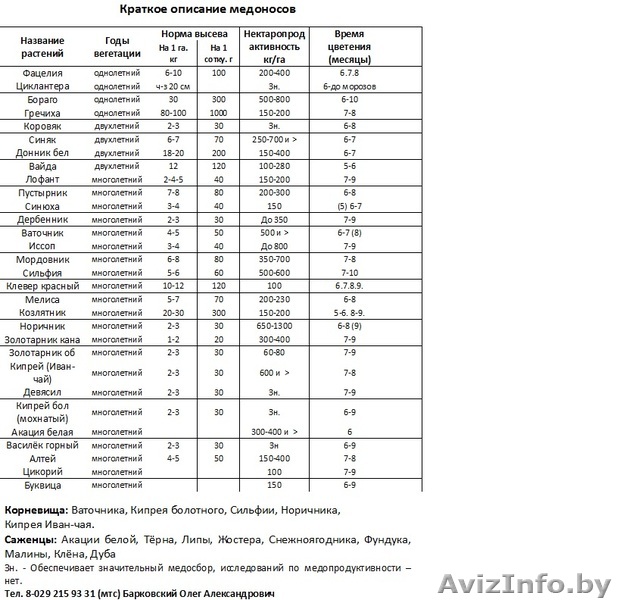 Семена Медоносных растений! - Изображение #1, Объявление #1593427