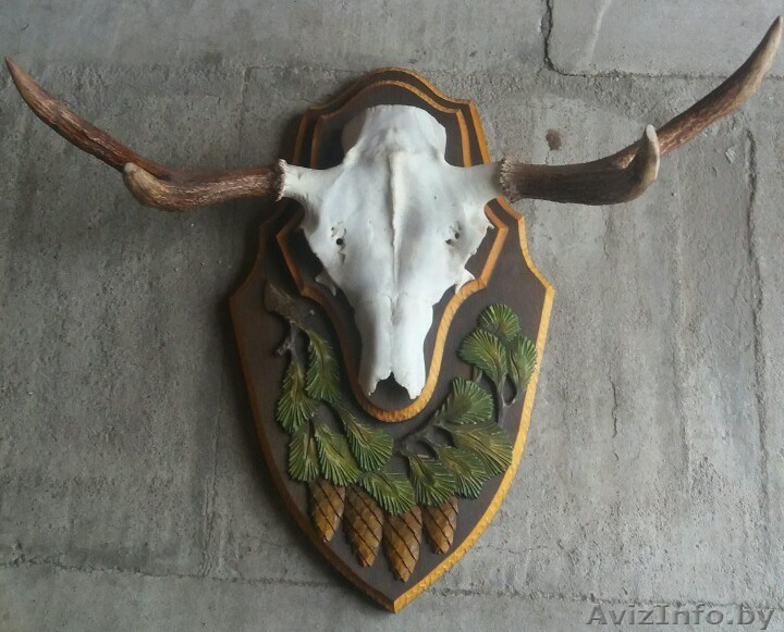 Рога лося на красивом креплении.Забирайте по супер цене до 31.12 Звоните - Изображение #1, Объявление #1600070