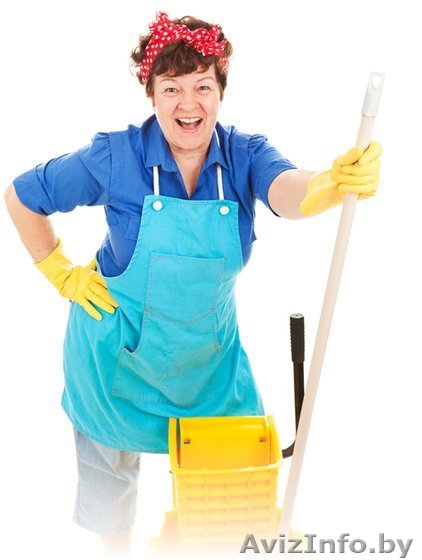 Хозяйка на час приведет в порядок ваш быт - Изображение #1, Объявление #1602746