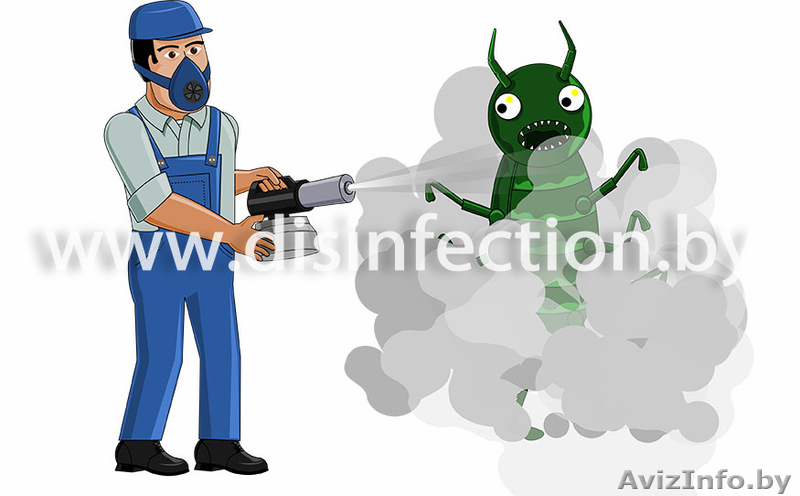 Профессиональная дезинсекция (удаление насекомых) - Изображение #1, Объявление #1607619