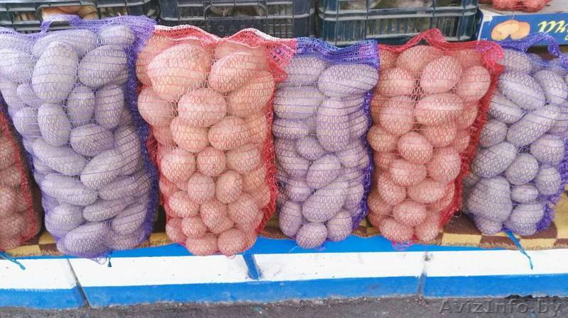 Картофель картошка бульба - Изображение #1, Объявление #1607238