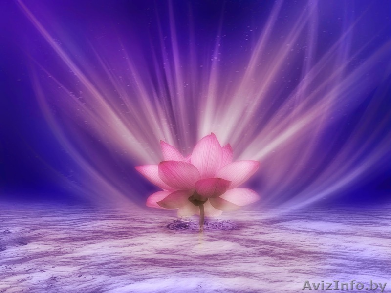 Массаж лечебный и оздоровительный с выездом на дом - Изображение #1, Объявление #1612898