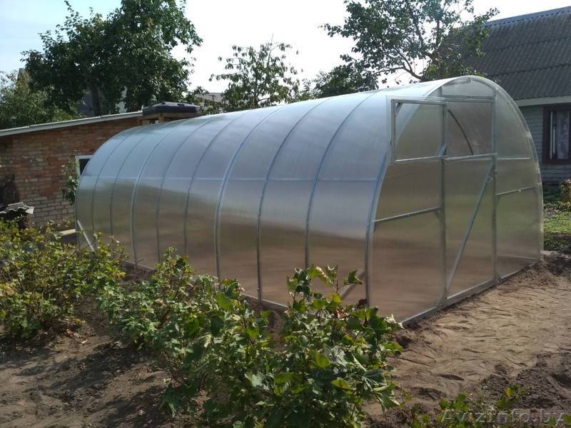 Теплица «Престиж», лучшее предложение на рынке Беларуси - Изображение #1, Объявление #1633441