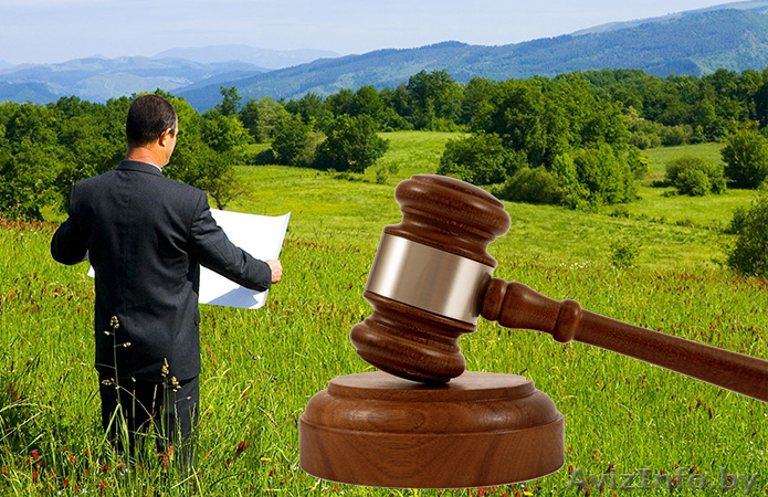 Сопровождение и приобретение на аукционе по продаже земельных участков - Изображение #1, Объявление #1634652