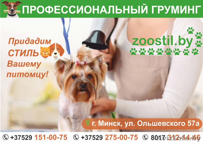 Профессиональный груминг для домашних питомцев. - Изображение #1, Объявление #1639383