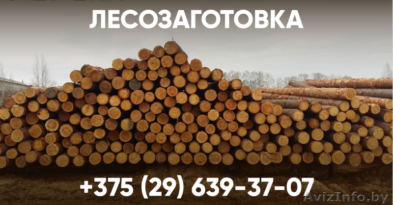 Закупаем лес кругляк - Изображение #1, Объявление #1641811