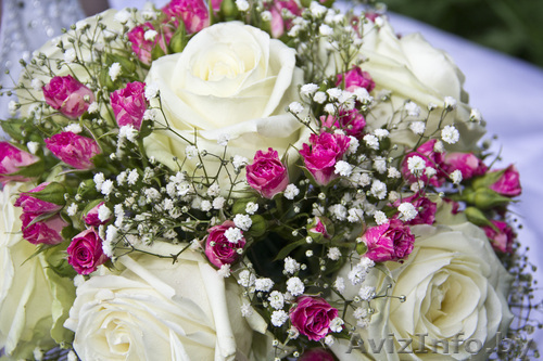  ТАМАДА МУЗЫКА ФОТО ВИДЕО - Изображение #1, Объявление #343953