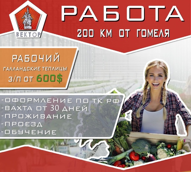 Рабочие в теплицу достойная оплата труда - Изображение #1, Объявление #1650540