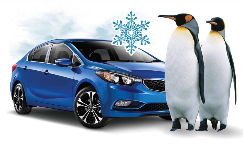 Диагностика и заправка кондиционера на Короля 77 - Изображение #1, Объявление #1654260