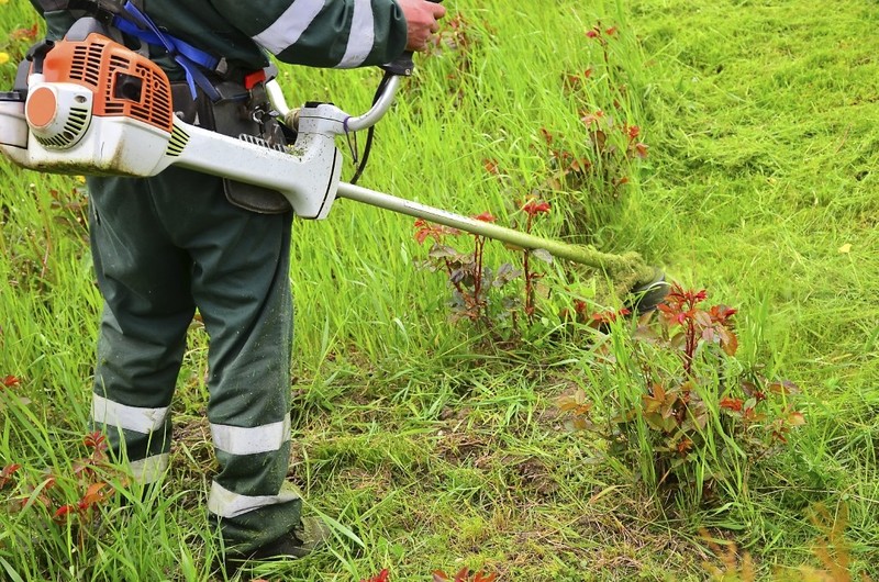 Садовник, Покос травы, Бурьяна Минск - Изображение #1, Объявление #1656586