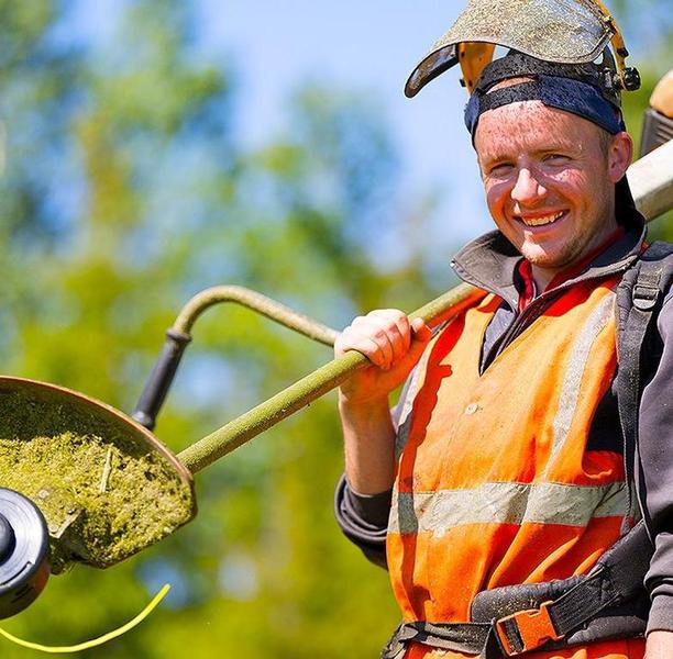 Комплексное обслуживание территории - Изображение #1, Объявление #1657298