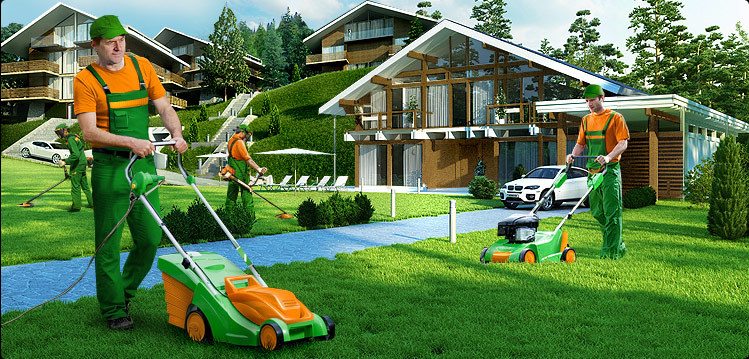 Срижка газона, покос травы и бурьяна, спил деревьев +375296950507 - Изображение #1, Объявление #1661181