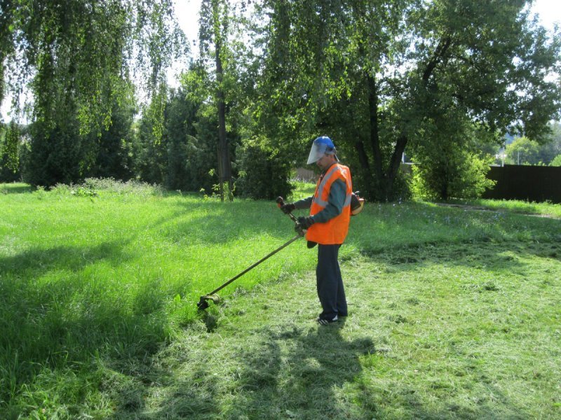 Разнорабочего для покоса травы триммером - Изображение #1, Объявление #1659841