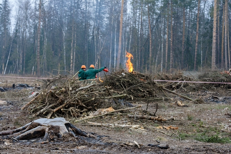 Рабочий для складирования порубочных остатков - Изображение #1, Объявление #1659855