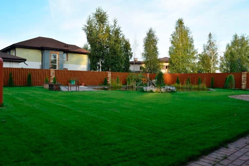 стрижка газона - Изображение #1, Объявление #1682840