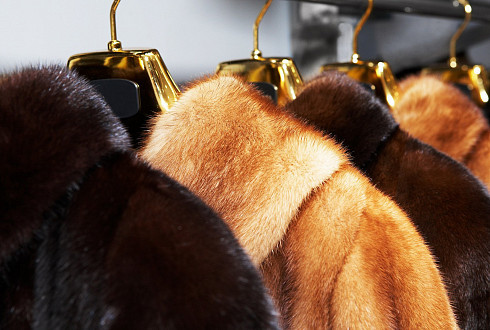 Говорящий купон для скидки на меховые изделия. - Изображение #1, Объявление #1717119