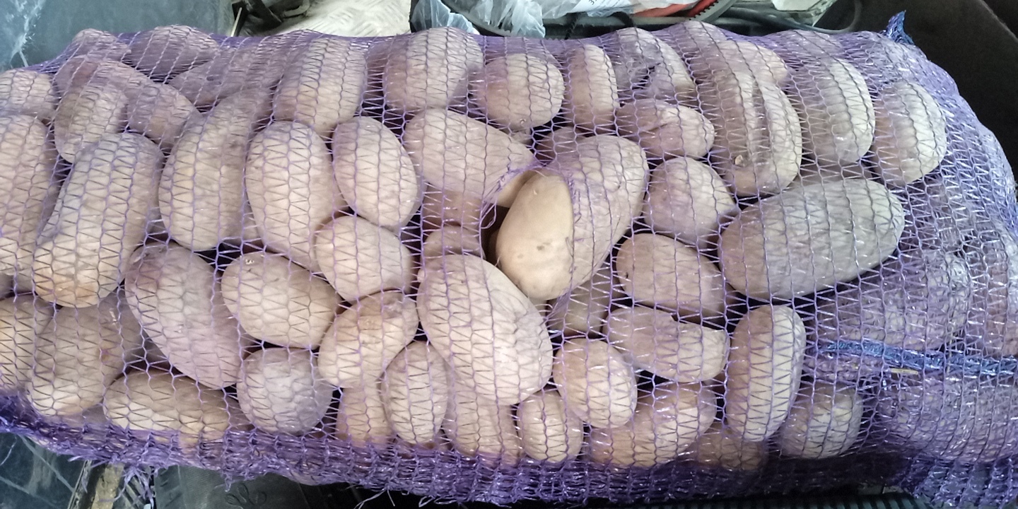 Картофель Королева Анна  - Изображение #1, Объявление #1736898