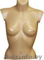 Экономпанели, стелажи для промтоваров и продтоваров, манекены, торсы, крючки  - Изображение #3, Объявление #10277