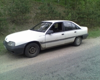 ОТДАМ В ХОРОШИЕ РУКИ - Изображение #2, Объявление #13200