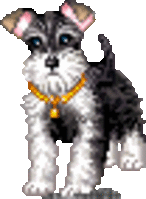 Цвергшнауцера щенок - Изображение #1, Объявление #16735