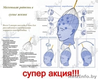 Мурашка Антистресс 2011 - скидки! +375 29 986 35 04, +37525 9 639 939 - Изображение #3, Объявление #12439