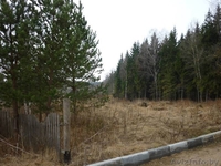 Продается дачный участок - Изображение #3, Объявление #34709