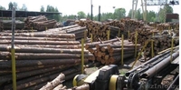 Пиломатериалы под Ваш заказ... - Изображение #2, Объявление #27643