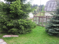 Королёв стан, дача - Изображение #1, Объявление #31631