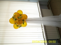 Ваш праздник - наша профессия! - Изображение #3, Объявление #27926