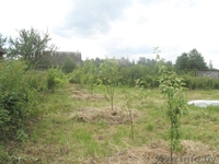 ДАЧНЫЙ УЧАСТОК 10 с  напр Барановичи ост Клыповщина 7мин хода 4 км от Дзержинска - Изображение #1, Объявление #46756