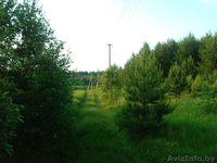 продажа участка в СОСНОВОМ бору - Изображение #3, Объявление #40677