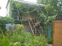 отдых на берегу Азовского моря г.Геническ - Изображение #2, Объявление #47020