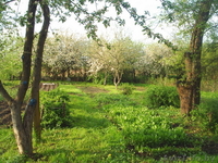 Продается дом в д.Колядичи,23сотки,2 гаража! - Изображение #3, Объявление #19159