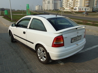 Ищу хорошего хозяина для совей Астрочки! - Изображение #2, Объявление #60157