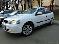 Ищу хорошего хозяина для совей Астрочки! - Изображение #1, Объявление #60157