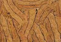 Ваш салон Паркета и Дверей, ООО - Изображение #1, Объявление #49404