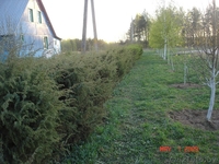 Продажа Дома (дачи) на Нарочи - Изображение #3, Объявление #57457