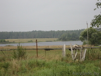 Продаю   дом, в село Ведрица!  - Изображение #3, Объявление #53269