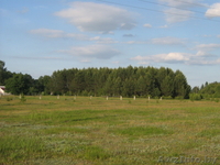 Участок в д.Гливин Борисовский район - Изображение #4, Объявление #54388