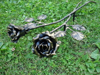 кованные изделия - Изображение #3, Объявление #47986