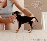 крошечные тойчики - Изображение #2, Объявление #57228