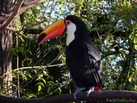 отдых в аргентине и путешествие. - Изображение #5, Объявление #48451