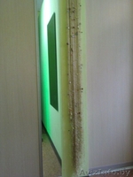 продаётся действующий солярий - Изображение #2, Объявление #68032